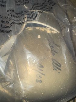 Muhammad Ali daughter boxing gloves