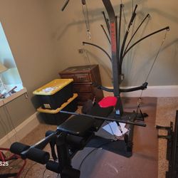 Great Bowflex 