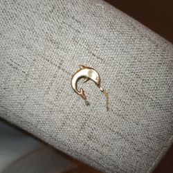  Gold Dolphin Earing 