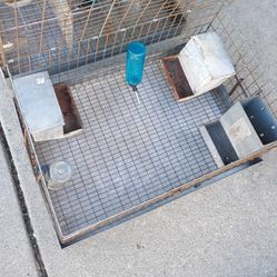 Bunny Cage