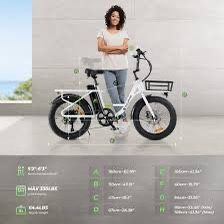 isinwheel U7 500W Cargo Bike