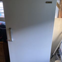 Large Stand Up Freezer