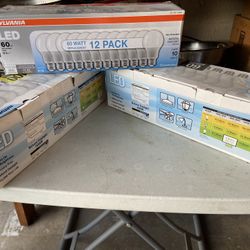 Bulk Light Bulbs 
