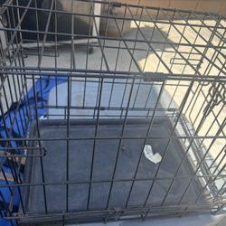 Dog Cage