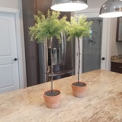 Two Pottery Barn Topiaries