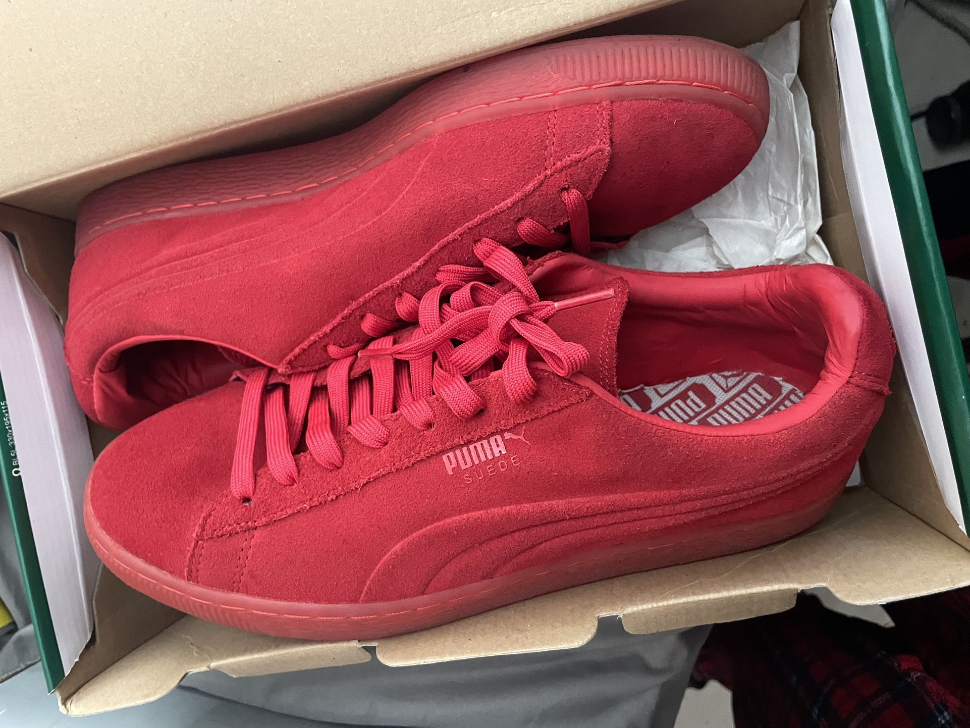 Red pumas