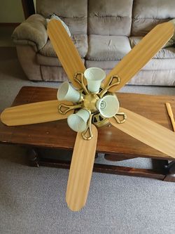 Hunter Ceiling Fan - 52"