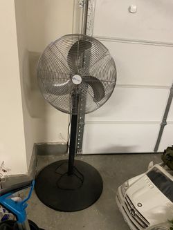 Fan
