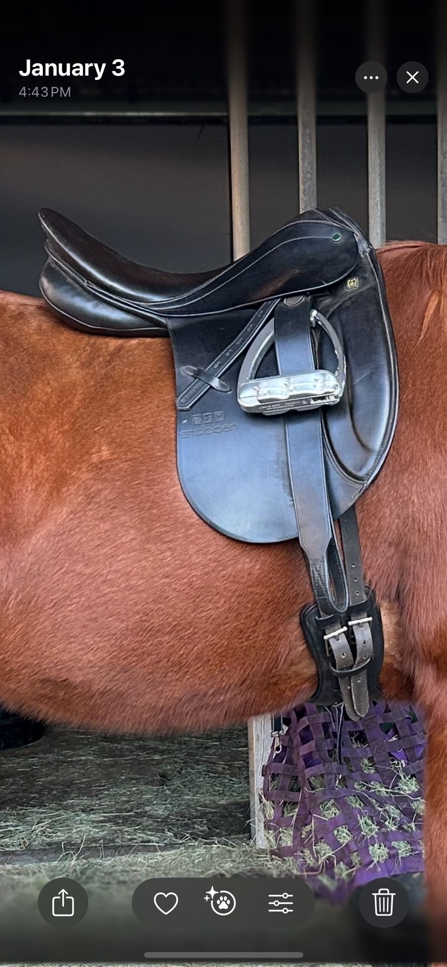Stubben Roxanne Dressage Saddle