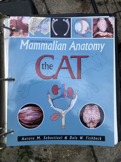 Mammalian Anatomy The Cat