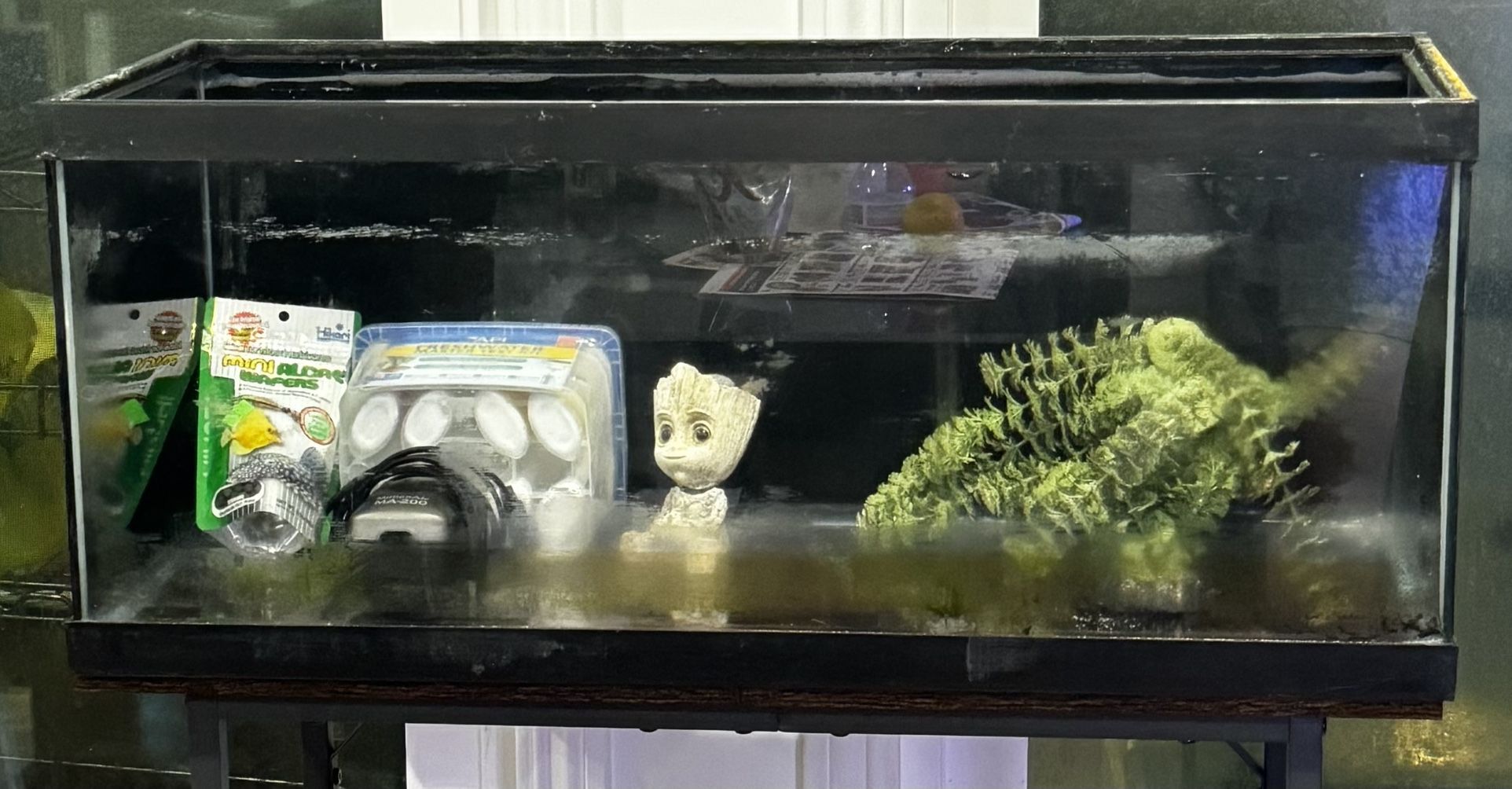 20 Gallon Long Fish Tank Aquarium Supplies