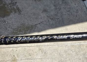 Daiwa Lexa 400 & California inshore series
