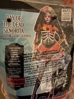 Dia de los muertos costume