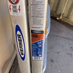 Werner Multi Position Ladder