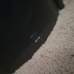 12" SvS. Sub Woofer.  Excellent Condition  Used Of Course   Asking 975 OBO 