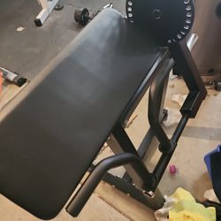 Tricep/ Bicep Machine 