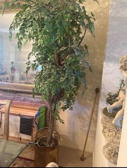 Large Artificial Ficus Tree in Brass Planter