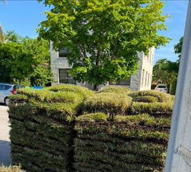 Sod For Sale Grade A Quality