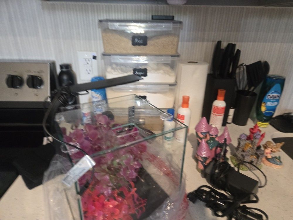 2.3 Gallon Fish Aquarium Tank
