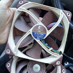 Noctua fan Lot 