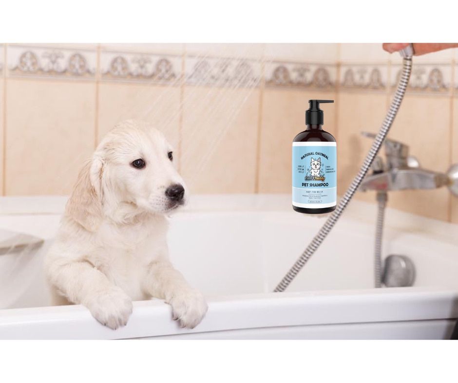 Dog Oatmeal Shampoo With Vitamin E