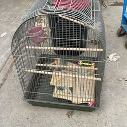 Bird Cage 