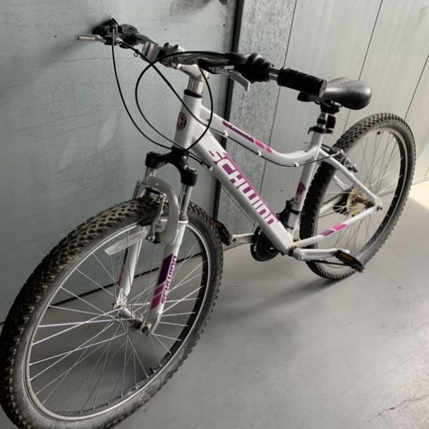 Schwinn women's ranger hotsell