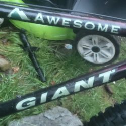GIANT MT. BIKE