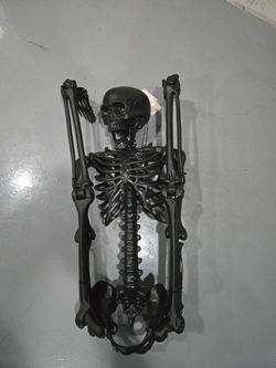 Skeleton Eyes Light Up