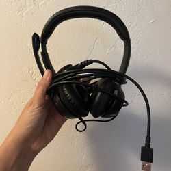 Headphones With Microphone (USB)