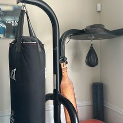 Everlast MMA Punching And Speed Bag 