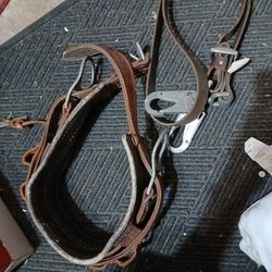 Pole Climbing Harness And Strap 