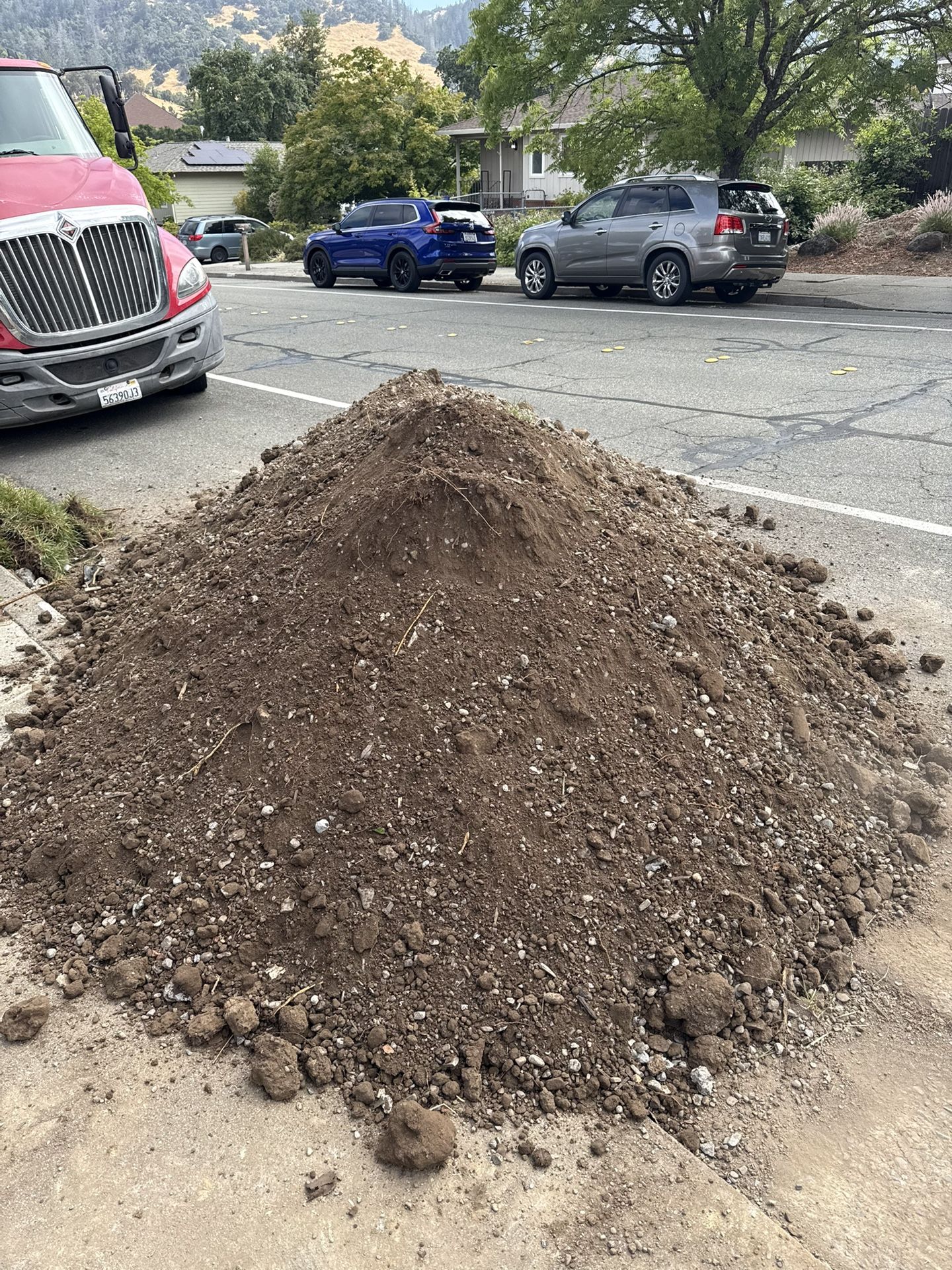 🚨🚨Free Dirt Free Delivery 🚚
