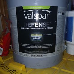 Valapar  Defenone Coat Exterior Paint