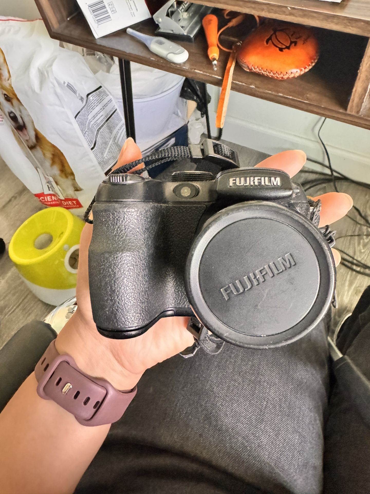 Fujifilm Finepix S1500