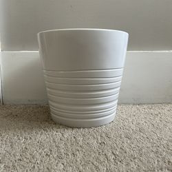 Plant Pot