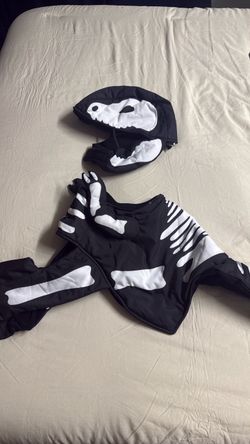 Dog costume
