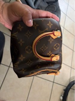 Louis Vuitton Purse