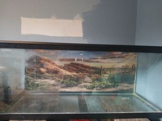 75 gallon tank with background and lights