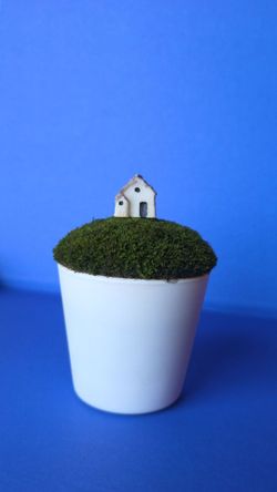 Mini house on a hill