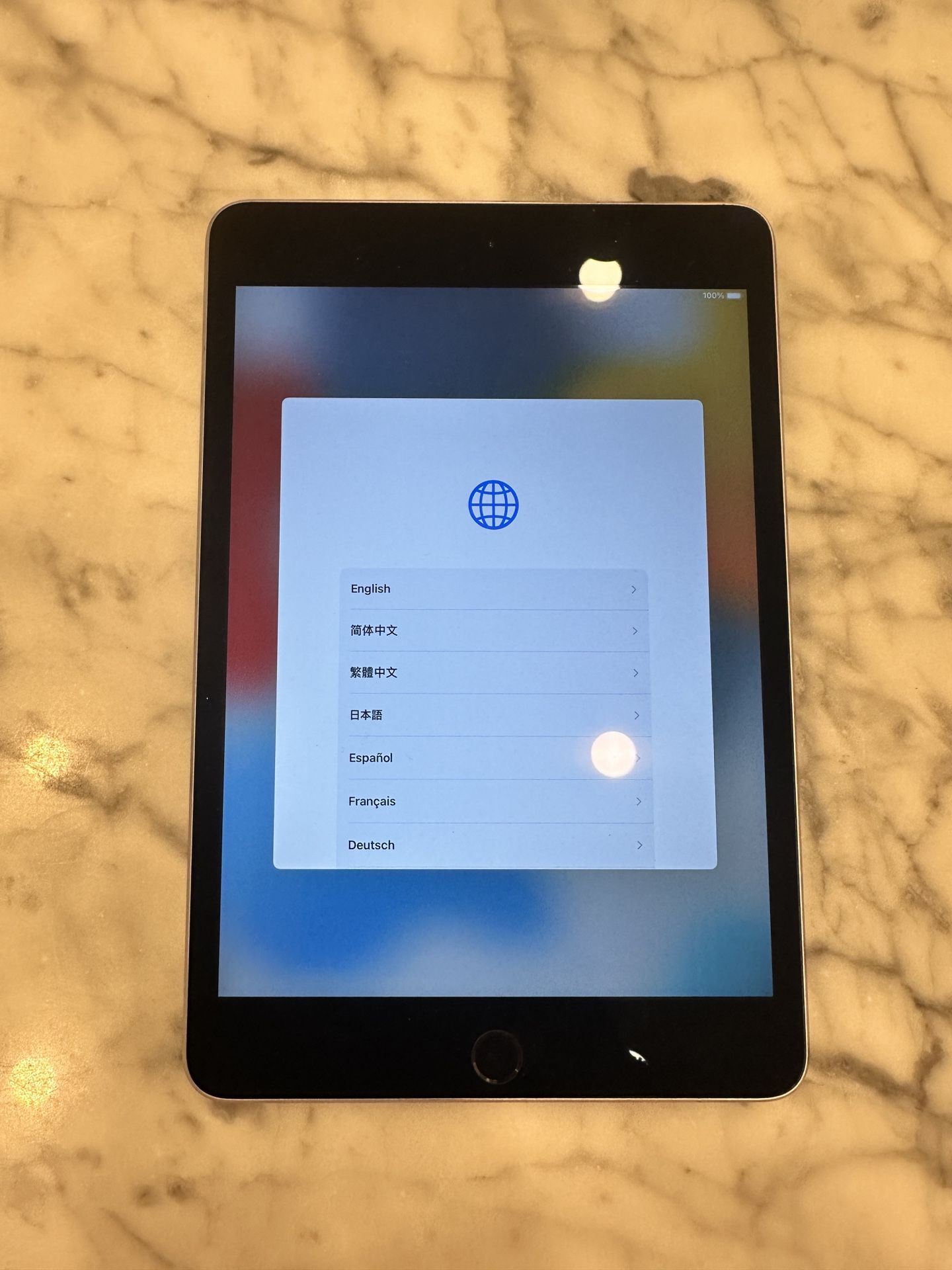 Two (2) iPad Mini’s