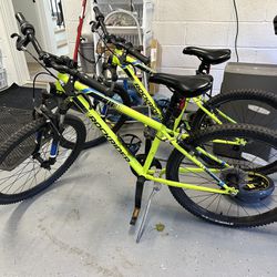 Two Kids Bikes For Less Than Price Of One!