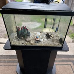 20 Gal Fish Tank
