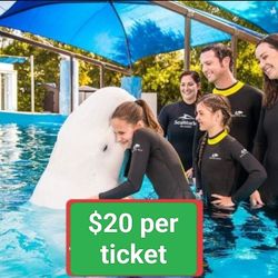 SeaWorld Tickets For Sea World San Diego, 1 Day Passes, Best Deals🐬🐬🐋🐋