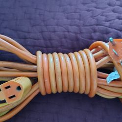 25 ' Heavy Duty Extension Cord