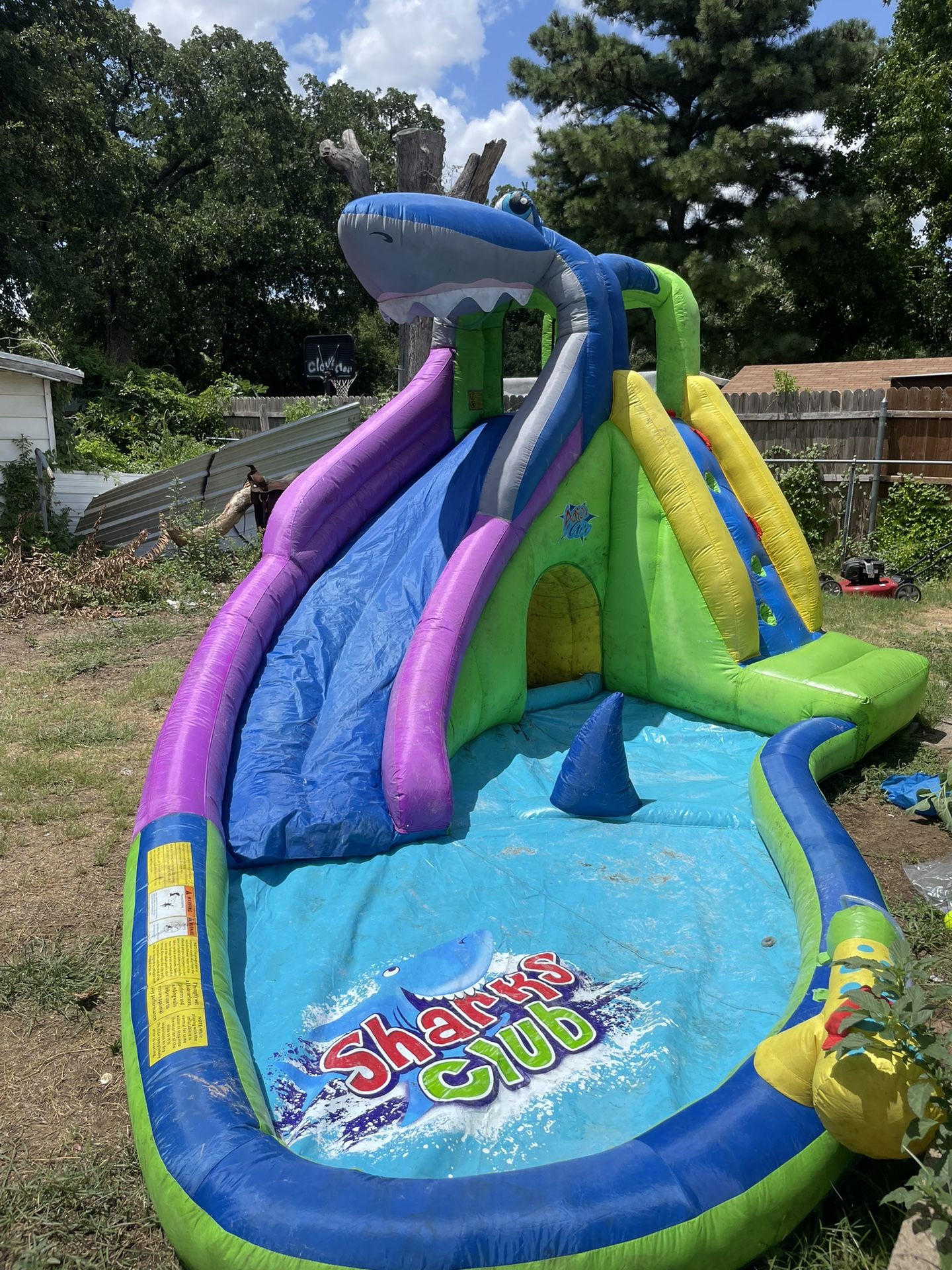 Shark Club Waterslide Fun