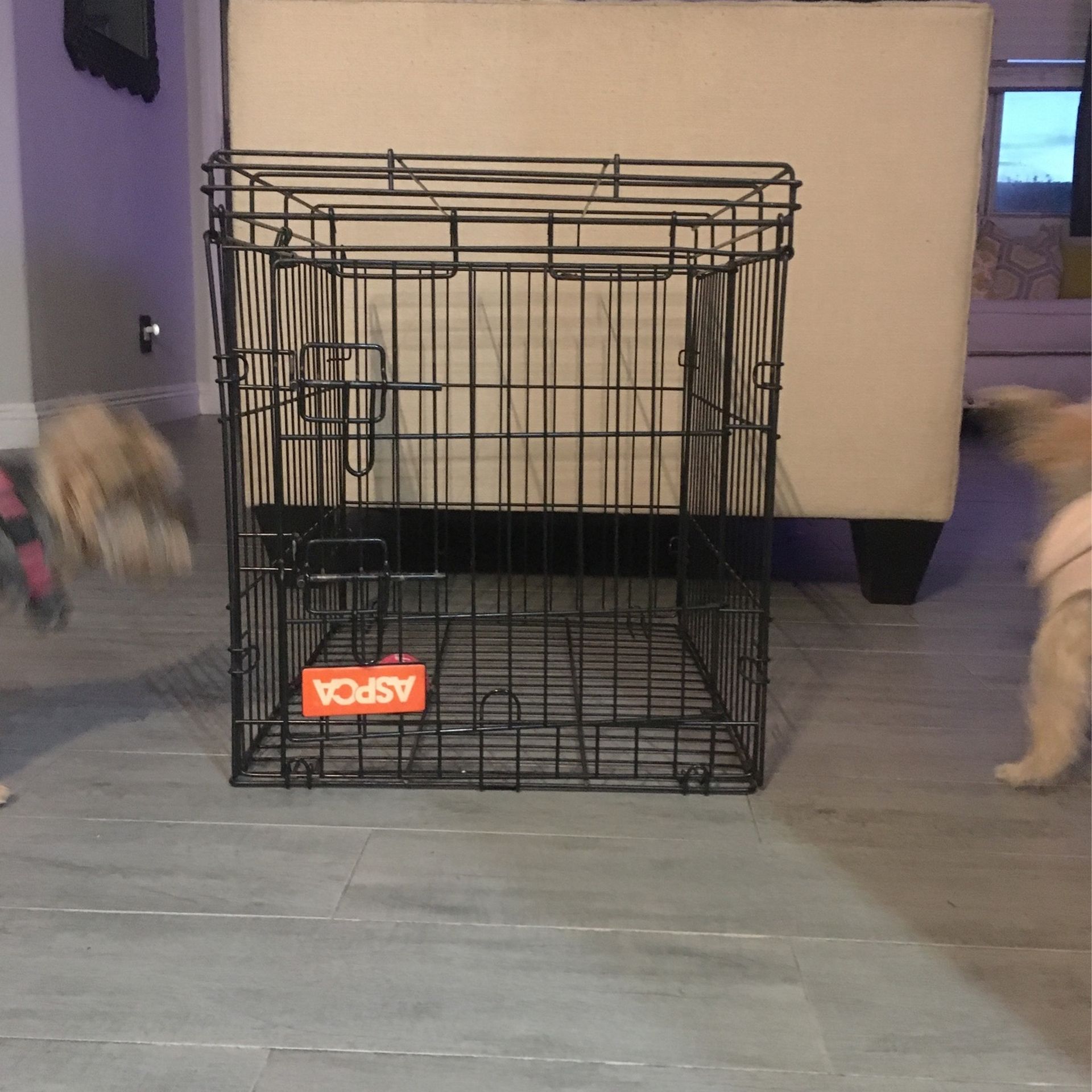 Dog kennel ASPCA