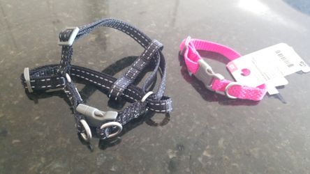 Xs and small dog collars