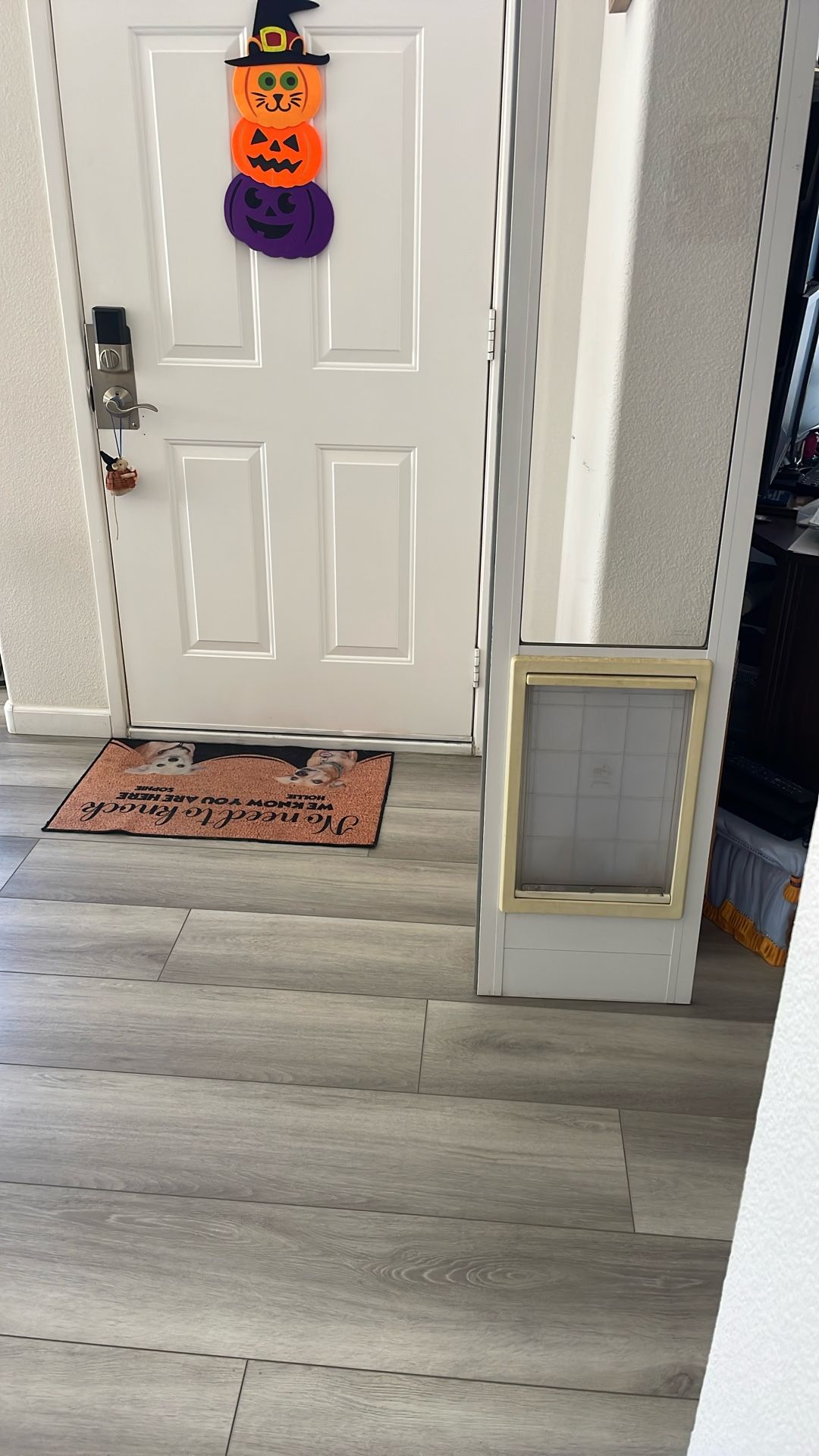 Medium to large doggie door for slider