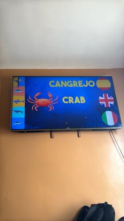 55” Sony Tv with tv mount